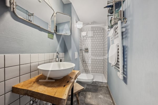 HOTEL CHAMOIS A VENDRE 11
