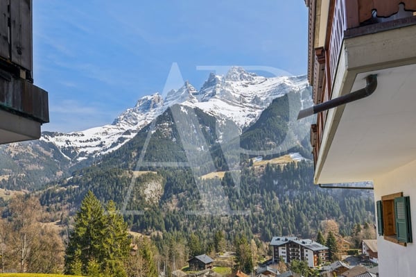 Opportunité commerciale au coeur de Champéry 4