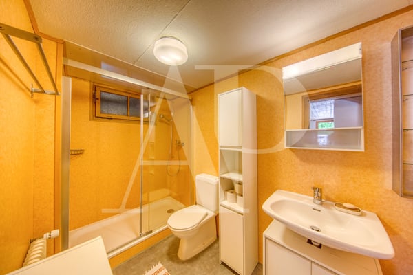 Appartement au charme d'antan au coeur de Champéry 10