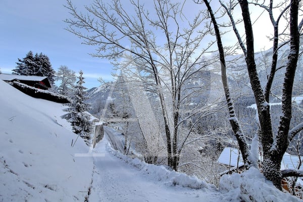 A VENDRE TERRAIN A CHAMPERY 2