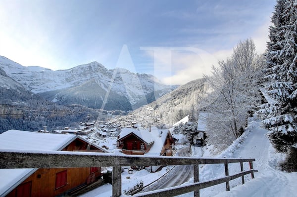 A VENDRE TERRAIN A CHAMPERY 4