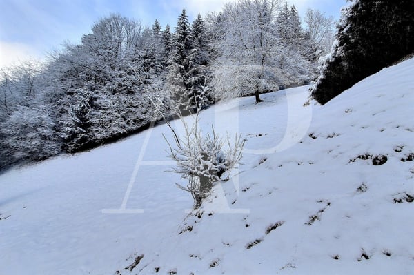 A VENDRE TERRAIN A CHAMPERY 5