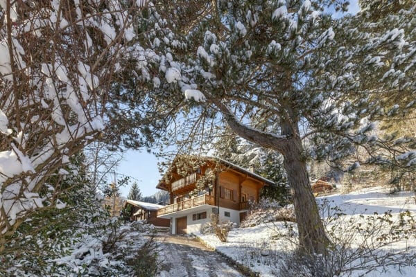 Chalet Entre Dents 7