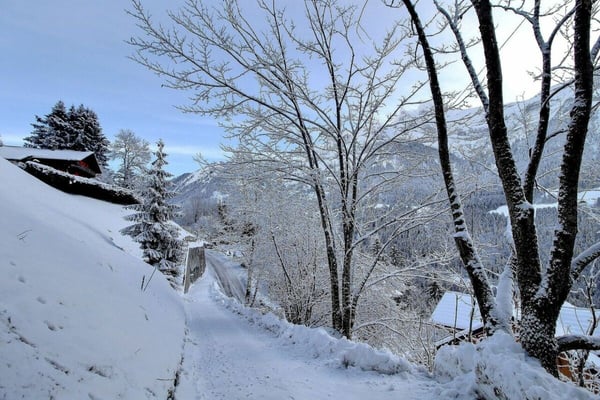 Terrain - Parcelles 1246 - 1247 copie 4