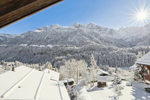 Vieux Chalet 5