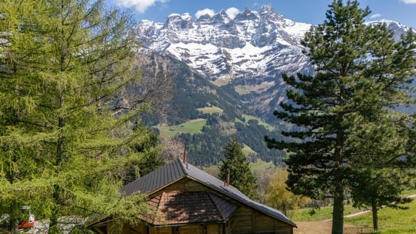Chalet Plalessu 5