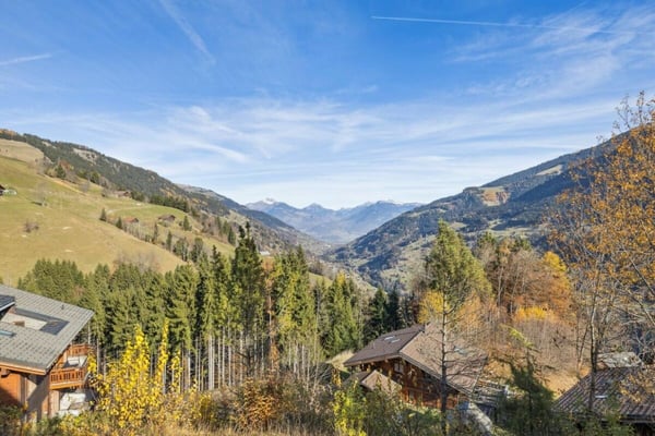 Chalet Perseides 10