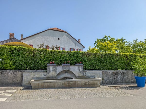 Maison individuelle de 4.5 pièces à vendre au centre de Daillens 8