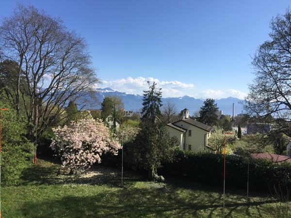 Villa contiguë contemporaine dans vaste parc arborisé 3