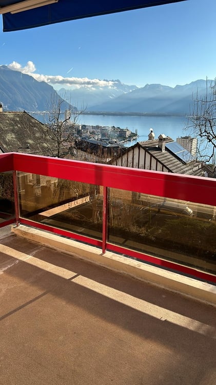 Bel appartement 2 pièces avec vue lac 2