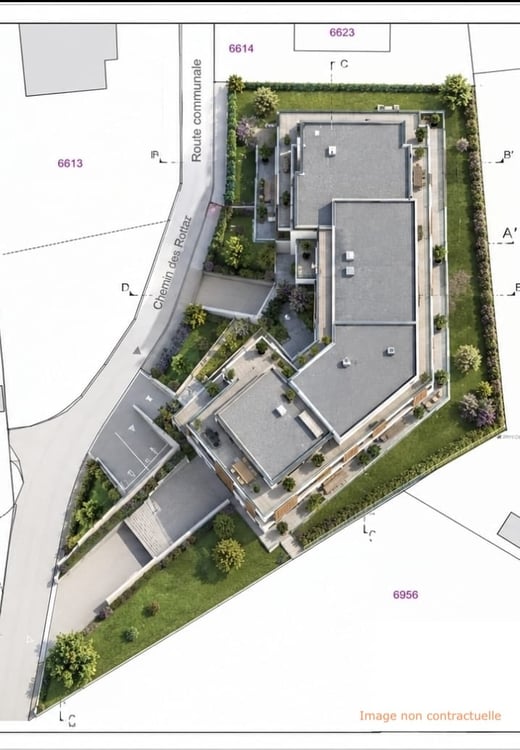 Attique de 4.5 pièces avec terrasse et jardin 2
