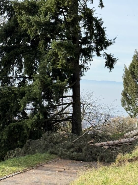 Dernière parcelle à vendre - permis en force 5