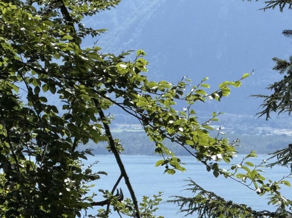 Dernière parcelle à vendre - permis en force 2