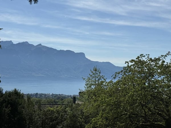 Dernière parcelle à vendre - permis en force 1