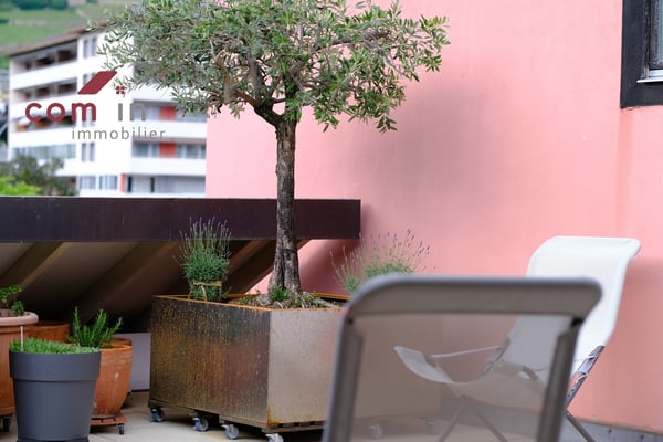 SION, ATTIQUE duplex de 1.5 pces terrasse de 48 m2 - Vieille ville 1