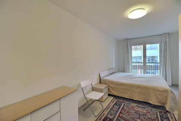 EN PARFAIT ETAT - AU CENTRE - VUE SUR LE LAC 11