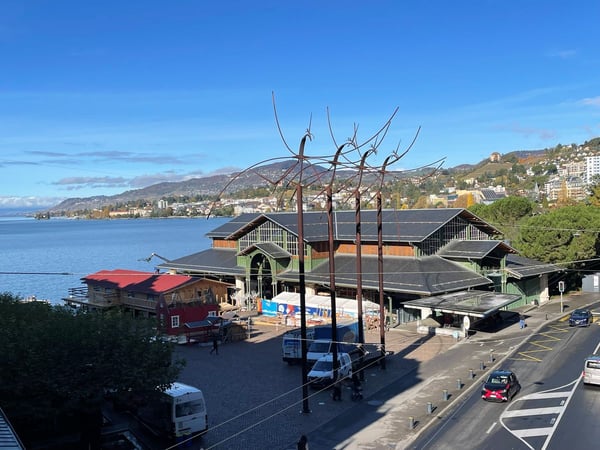 EN PARFAIT ETAT - AU CENTRE - VUE SUR LE LAC 3