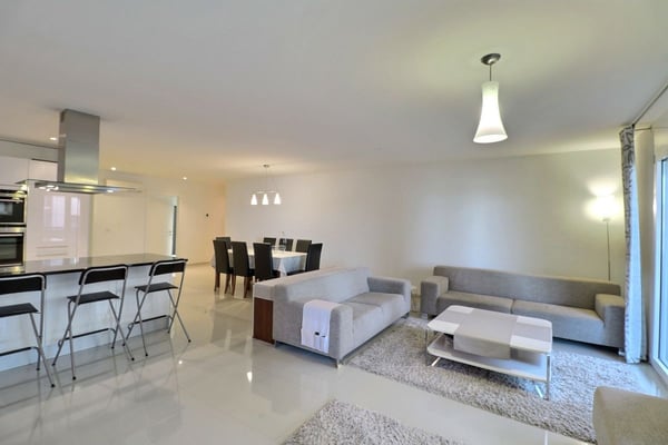 EN PARFAIT ETAT - AU CENTRE - VUE SUR LE LAC 7