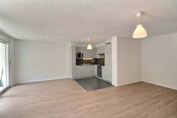 JOLI APPARTEMENT DE 4,5 PIECES RENOVE AVEC UNE TERRASSE ET UN JARDIN 7