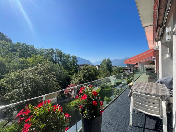 POUR INVESTISSEURS: APPARTEMENT LOUE DE 5,5 PIECES DANS UN QUARTIER TRES CALME AVEC UNE BELLE VUE 3