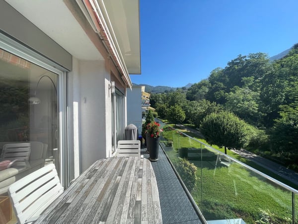 POUR INVESTISSEURS: APPARTEMENT LOUE DE 5,5 PIECES DANS UN QUARTIER TRES CALME AVEC UNE BELLE VUE 6