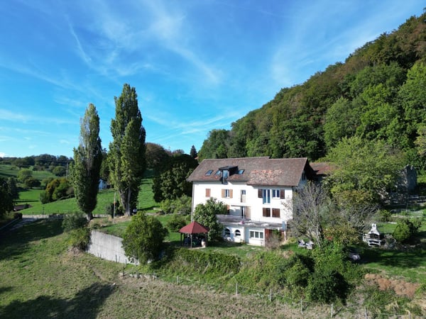 IMMEUBLE DE 4 APPARTEMENTS A RENOVER AVEC VUE PANORAMIQUE EXCEPTIONNELLE SUR LE LAC LEMAN ET LES ALPES 2