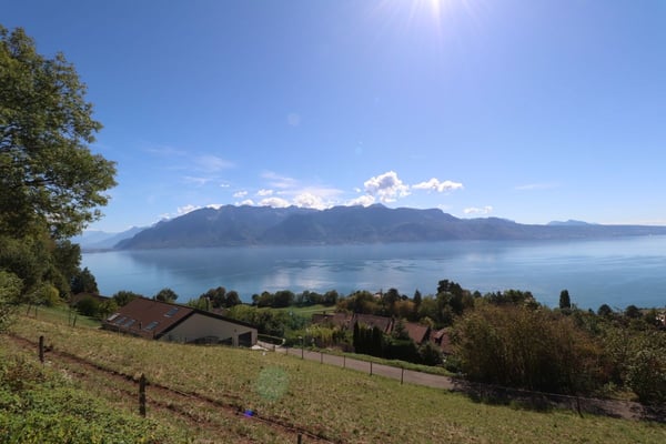IMMEUBLE DE 4 APPARTEMENTS A RENOVER AVEC VUE PANORAMIQUE EXCEPTIONNELLE SUR LE LAC LEMAN ET LES ALPES 3