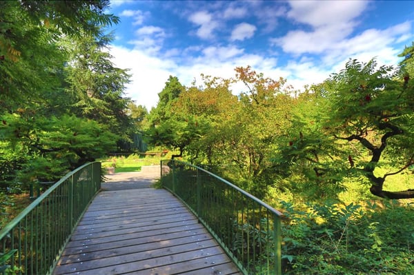 E01_Appartement de 1.5 pièces au 4ème étage 11