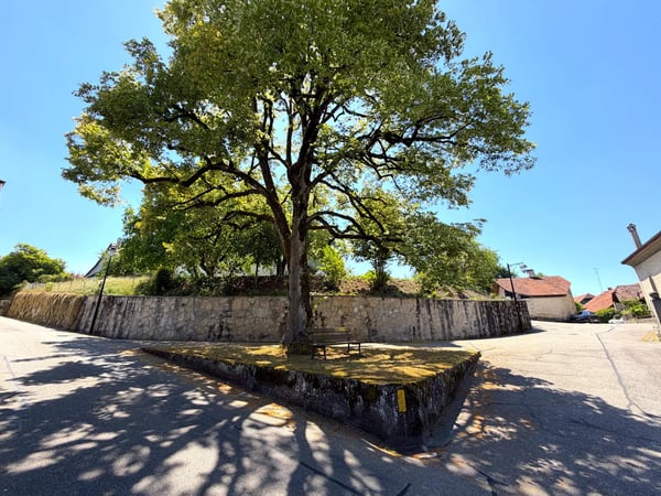 Building lot of 517.00 m2 1