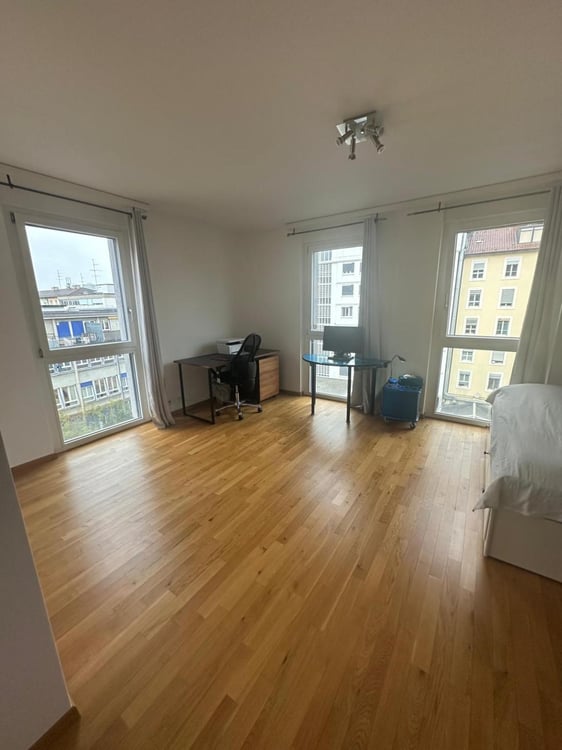 Superbe appartement traversant avec vue imprenable à Carouge 3