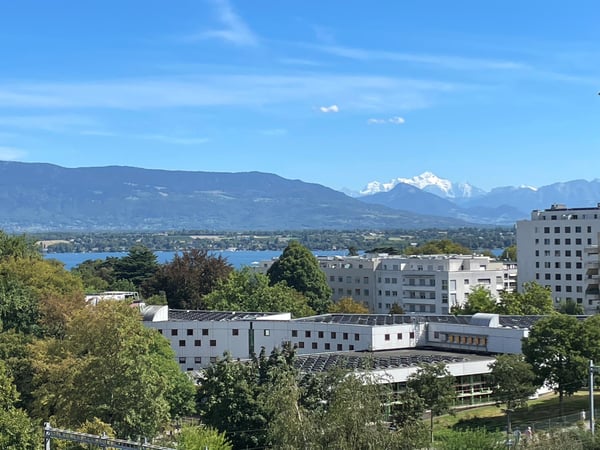 Aperçu de l'image de l'immobilier