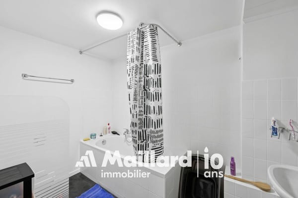 Immeuble de rendement mixte - Bord du lac 12