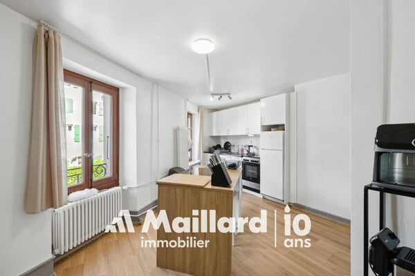 Immeuble de rendement mixte - Bord du lac 8