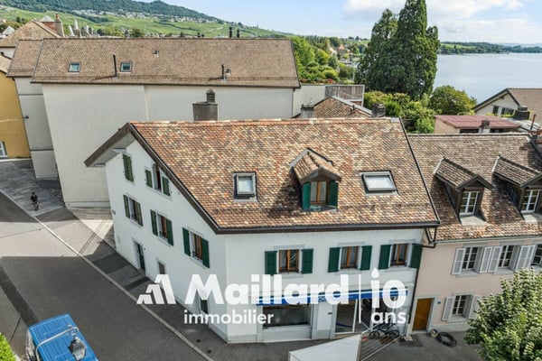 Immeuble de rendement mixte - Bord du lac 3