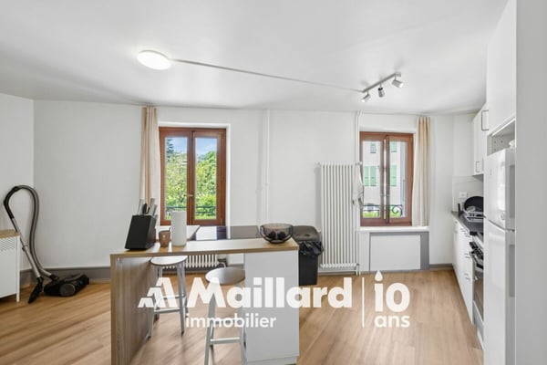 Immeuble de rendement mixte - Bord du lac 10