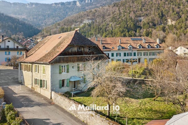 Baulmes - Artisanal - Grand rural à aménager 6