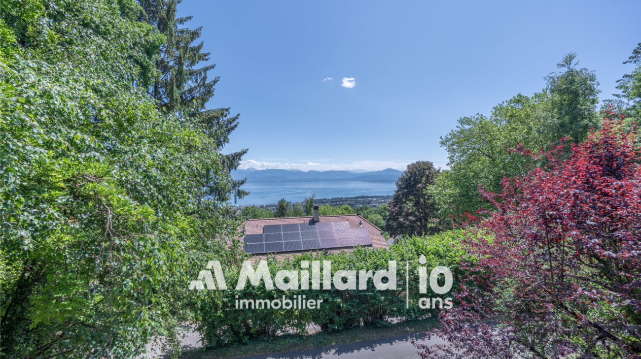 Villa d'architecte - Vue panoramique sur le lac !