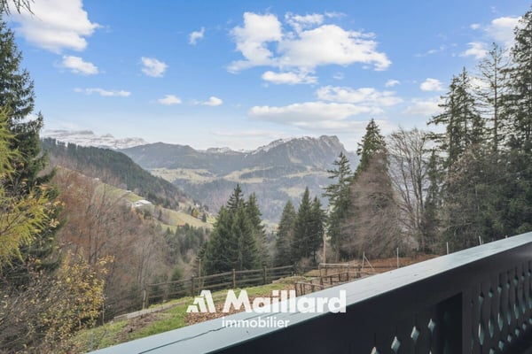 Chalet au Sépey 3