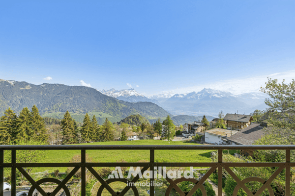 Spacieux appartement 2.5 pièces avec vue majestueuse! 8