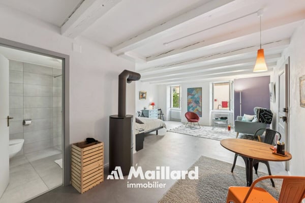 L'Isle - Belle maison villageoise rénovée avec jardin 10