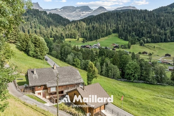 Immeuble de 4 logements proche des Diablerets 14