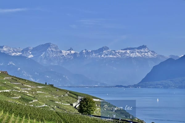 Appartement panoramique neuf! Urgent! 2