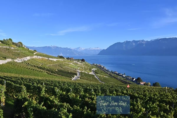 Appartements neufs, vue panoramique sur le lac! 8