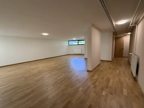 VILLA DE LUXE À VESSY AVEC VUE CAMPAGNE ET PISCINE 13