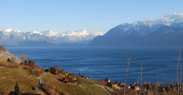Appartement moderne avec vue spectaculaire à Lavaux 12