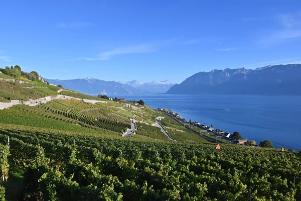 Appartement moderne avec vue spectaculaire à Lavaux 13