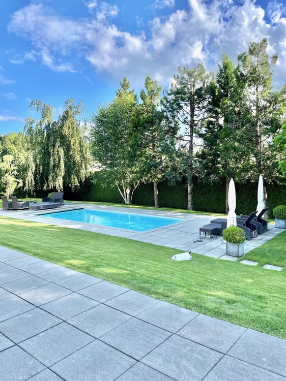 Grande villa contemporaine de 500m², piscine, calme, vue sur le Jura 2