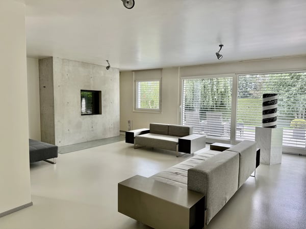 Grande villa contemporaine de 500m², piscine, calme, vue sur le Jura 6
