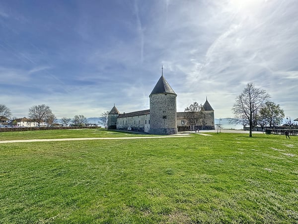 EXCLUSIVITÉ I Local artisanal avec terrasse et jardin, situé à Rolle 2