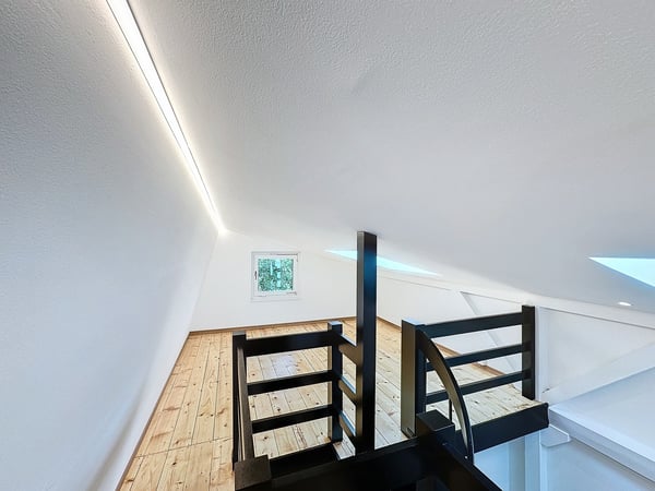 Situation unique - Magnifique villa rénovée avec jardin et vue lac 11